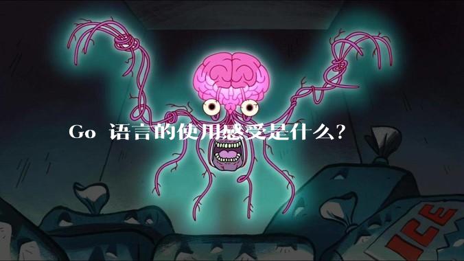 Go 语言的使用感受是什么？